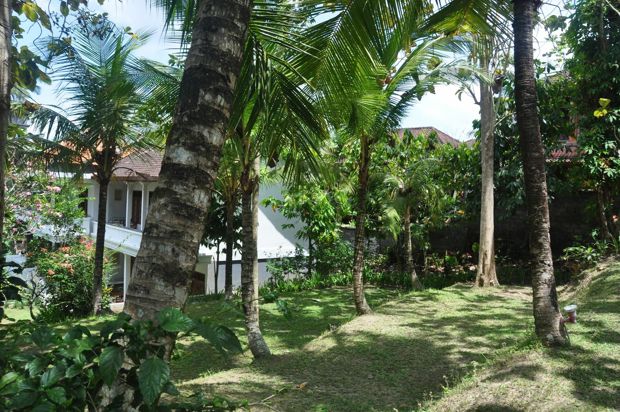 Argasoka Bungalows Убуд Екстериор снимка